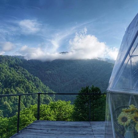 ホテル Mtirala Glamping Chakvistavi エクステリア 写真