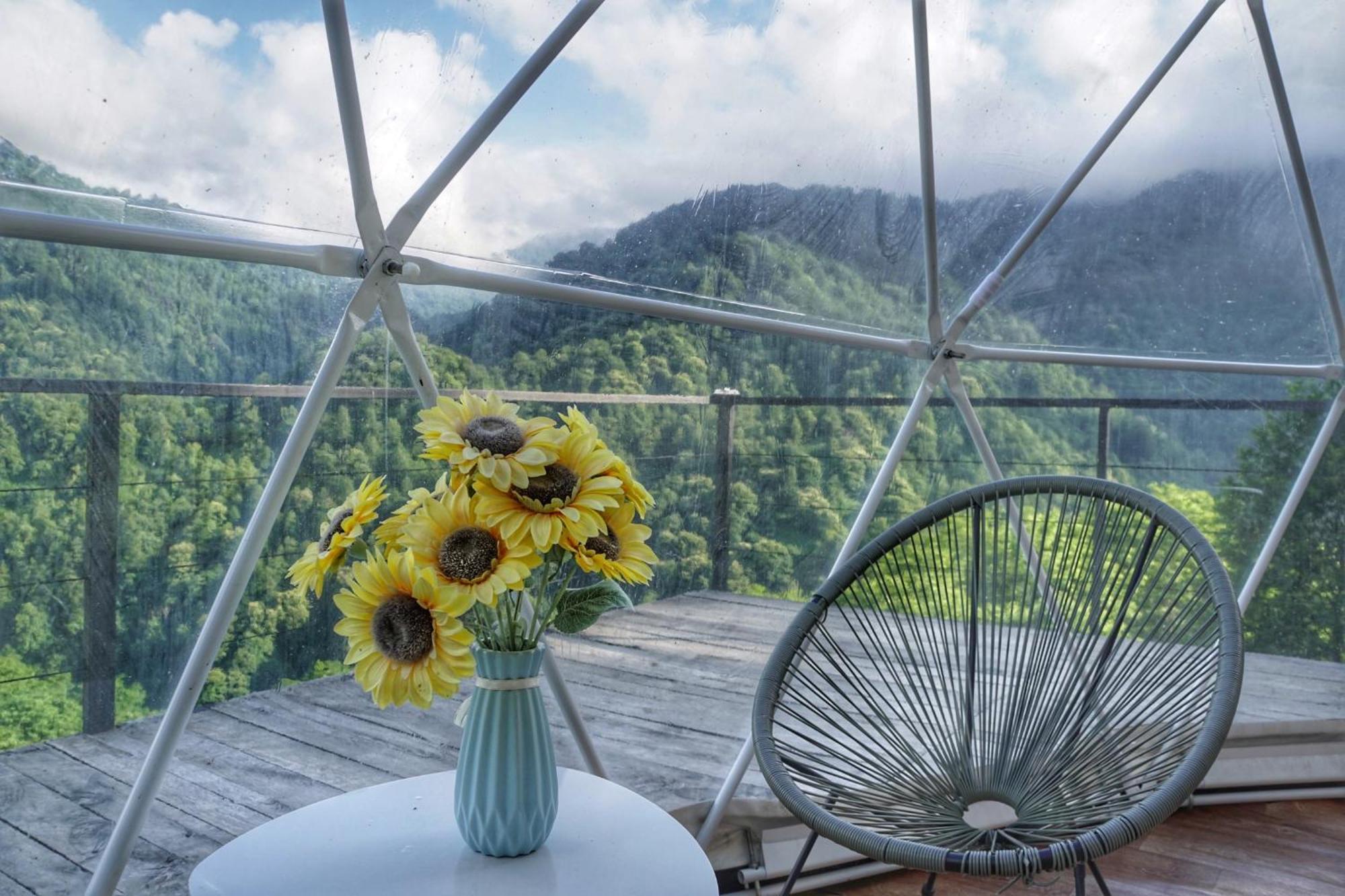 ホテル Mtirala Glamping Chakvistavi エクステリア 写真